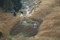 2015-10-03_Graskoepfel_(608)b.JPG