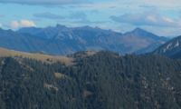 2015-10-03_Graskoepfel_(617)b.JPG