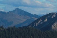 2015-10-03_Graskoepfel_(624)b.JPG