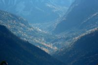 2015-10-03_Graskoepfel_(699)b.JPG
