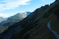 2015-10-03_Graskoepfel_(799).JPG