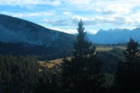 2015-10-03_Graskoepfel_(847).JPG