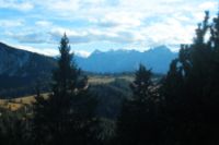 2015-10-03_Graskoepfel_(848).JPG
