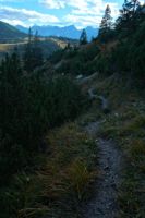 2015-10-03_Graskoepfel_(877)b.JPG