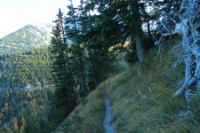 2015-10-03_Graskoepfel_(878).JPG