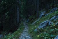 2015-10-03_Graskoepfel_(926).JPG