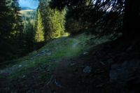 2015-10-03_Graskoepfel_(928).JPG