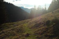 2015-10-03_Graskoepfel_(934).JPG