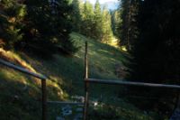 2015-10-03_Graskoepfel_(954).JPG