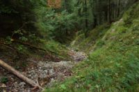 2015-09-22_Graskoepfl_(145).JPG