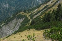2015-09-22_Graskoepfl_(427).JPG