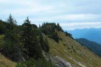 2015-09-22_Graskoepfl_(445).JPG
