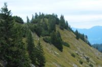 2015-09-22_Graskoepfl_(446).JPG