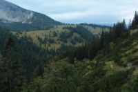 2015-09-22_Graskoepfl_(522).JPG