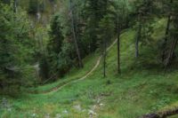 2015-09-22_Graskoepfl_(573).JPG