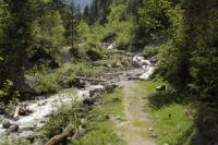 2015-06-04_02Enger-Grund_(105).JPG