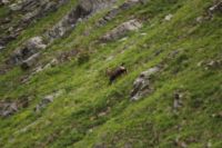 2015-06-04_03Enger-Grund_(164).JPG
