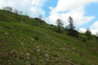 2015-06-04_03Enger-Grund_(193).JPG