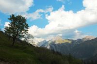 2015-06-04_03Enger-Grund_(225)b.JPG