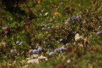 2015-06-05_02Teufelskopf_(168).JPG