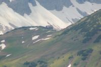 2015-06-05_04Gamsjoch_(186).JPG