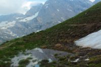 2015-06-05_04Gamsjoch_(366).JPG