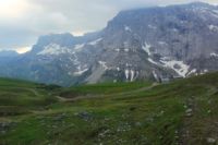 2015-06-06_02Halfterj_Gaissbockstein_(107)b.JPG