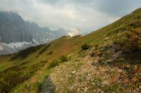 2015-06-06_02Halfterj_Gaissbockstein_(173).JPG