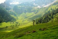 2015-06-06_04Kistenboden-Eng_(251)b.JPG