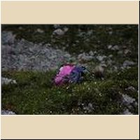 2016-08-04_Lamsenhuette_(233)1.jpg