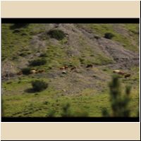 2016-08-04_Lamsenhuette_(376)2.jpg