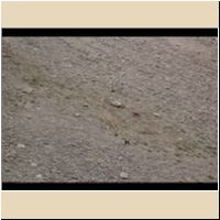 2016-08-04_Lamsenhuette_(441)1.jpg