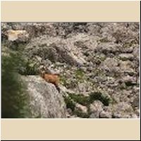 2016-08-04_Lamsenhuette_(453)1.jpg