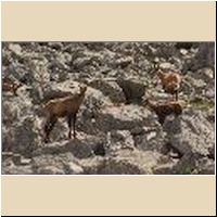 2016-08-04_Lamsenhuette_(471)1.jpg