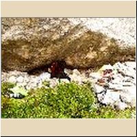 2016-08-04_Lamsenhuette_(485).jpg