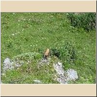2016-08-04_Lamsenhuette_(305)M1.jpg