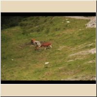 2016-08-04_Lamsenhuette_(390)M.jpg