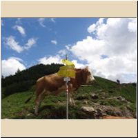 2016-08-04_Lamsenhuette_(403)M.jpg