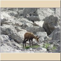 2016-08-04_Lamsenhuette_(477)M1.jpg