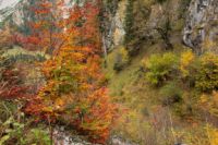 2014-10-16_Lamsenjoch_(159).JPG