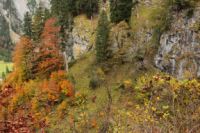 2014-10-16_Lamsenjoch_(160).JPG