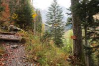2014-10-16_Lamsenjoch_(163).JPG