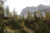 2014-10-16_Lamsenjoch_(212)b.JPG
