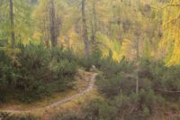 2014-10-16_Lamsenjoch_(223)b.JPG