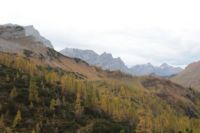 2014-10-16_Lamsenjoch_(242).JPG
