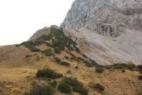 2014-10-16_Lamsenjoch_(256).JPG