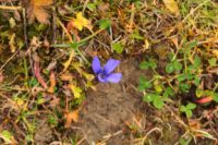 2014-10-16_Lamsenjoch_(275).JPG