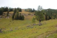 2014-10-16_Lamsenjoch_(424).JPG
