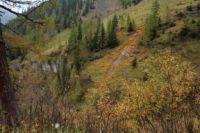 2014-10-16_Lamsenjoch_(436).JPG