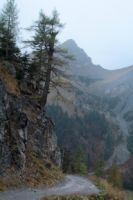 2014-10-16_Lamsenjoch_(444)b.JPG